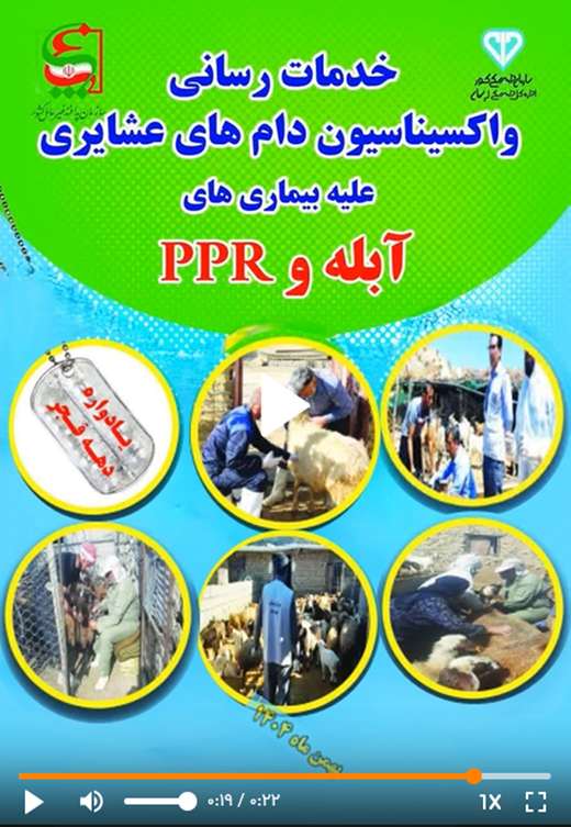 موشن گرافی خدمات رسانی دام های عشایری لرستان